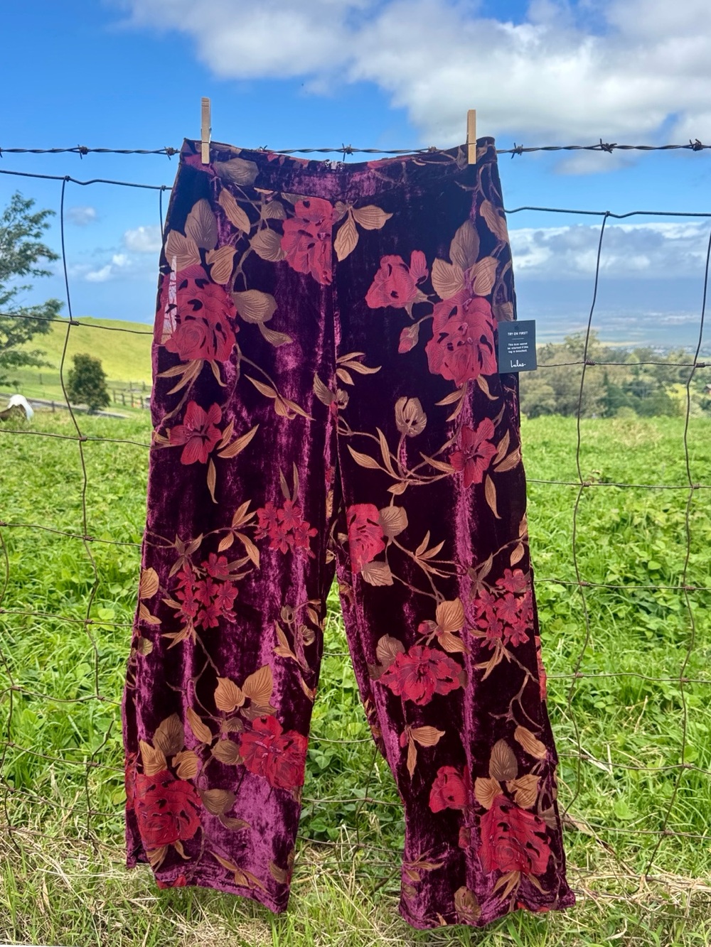 NWT Lulus Only Tonight Velvet Burnout Rose Burgundy Wide leg Pants XL